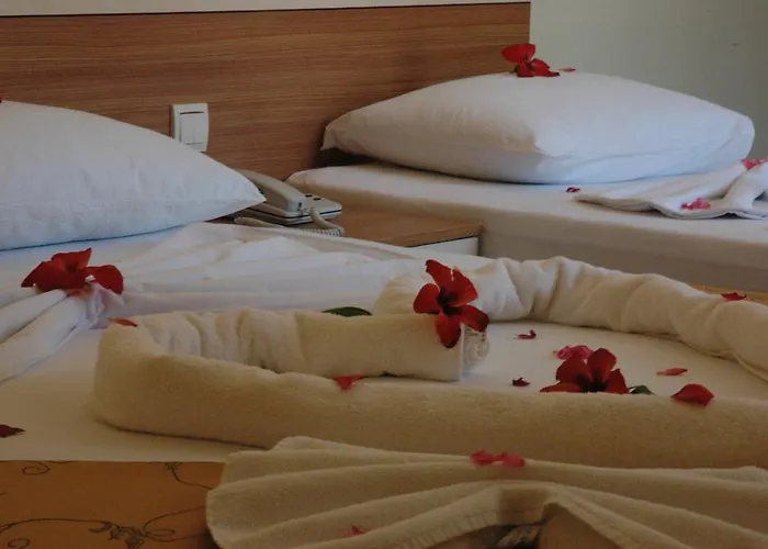 B&B Ercan 이츠멜레르