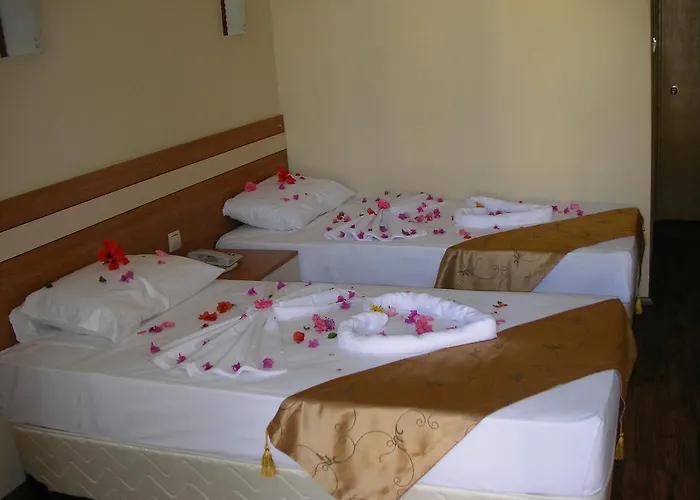 住宿加早餐酒店 Ercan 伊丘美勒