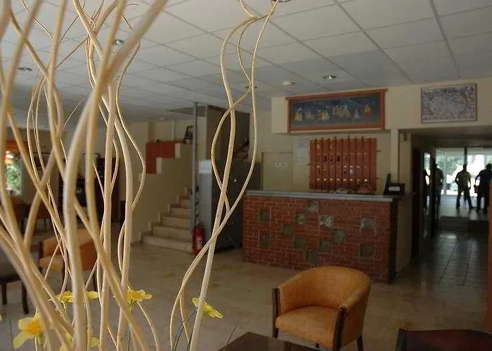 Ercan 2* 伊丘美勒